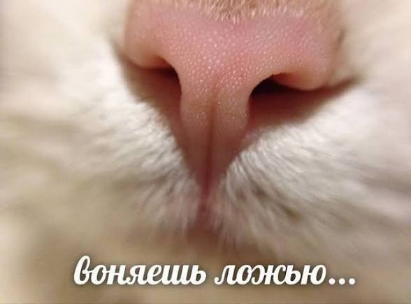 Рождённых 5, 23, 25 и 34 числа признали главными пиздоболами