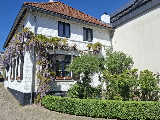 Немного природы Бельгии.