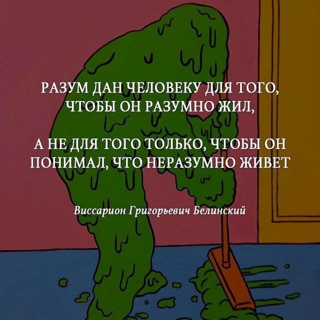 Картинки для деградации 247 (разной степени свежести)