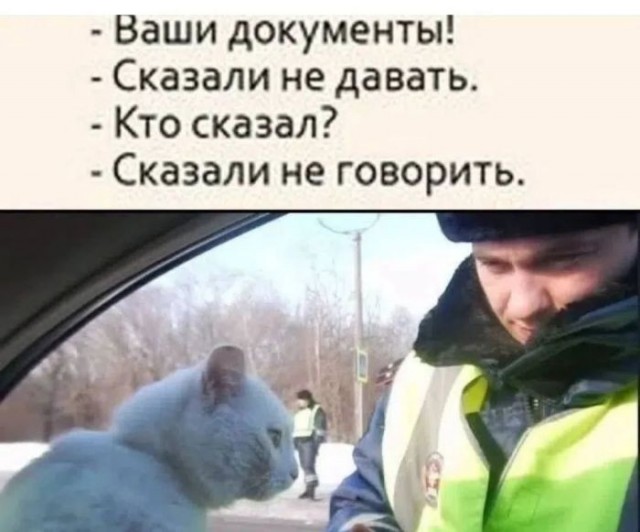 Картинки для деградации 252 (разной степени свежести)
