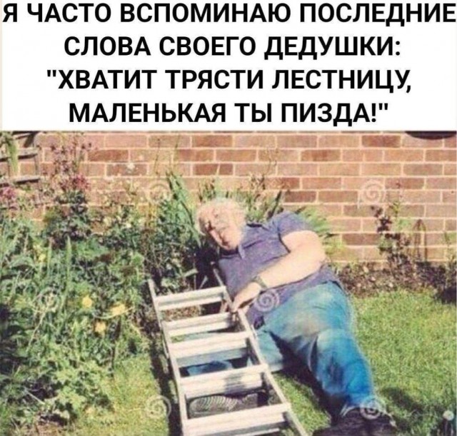 Омай гады , холи шиты  (Стремянки - Лесенки)