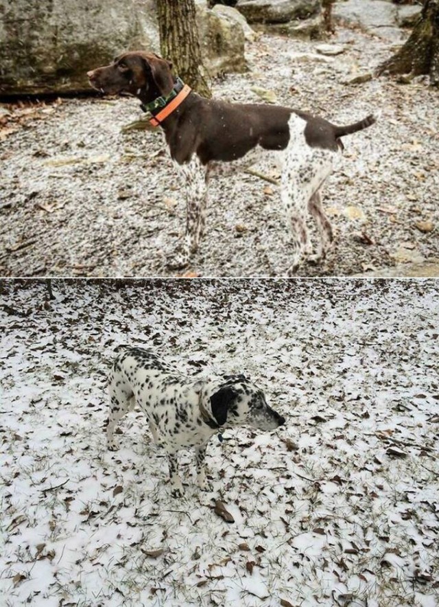 На каждом фото кто-то есть
