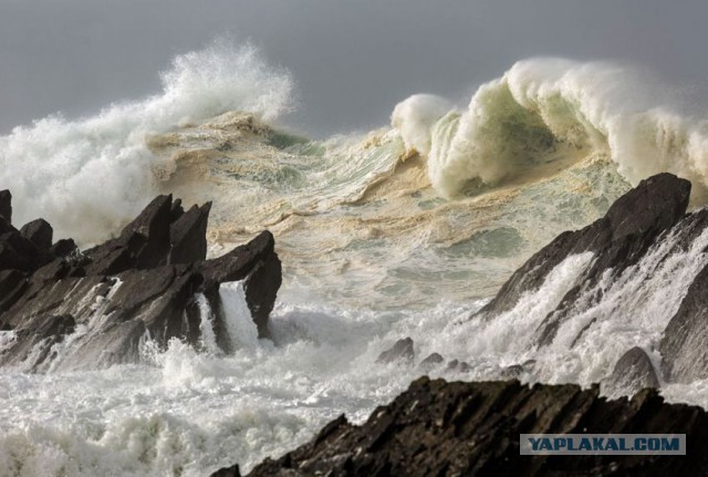 Лучшие фотографии National Geographic 2013.