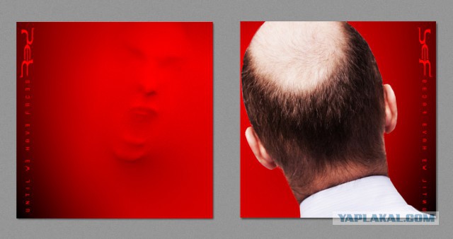 Обложки знаменитых музыкальных альбомов: вид сзади