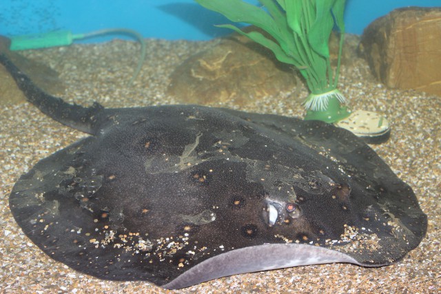 Отчёт о поездке в Крым 12.07 - 29.07