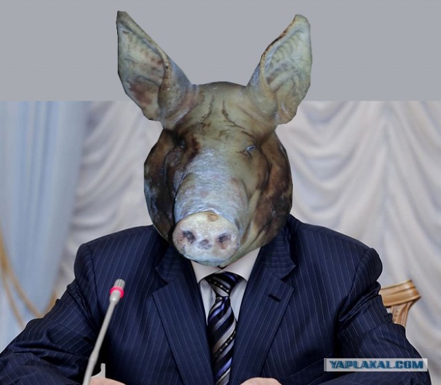 Кровавый исход Турчинова