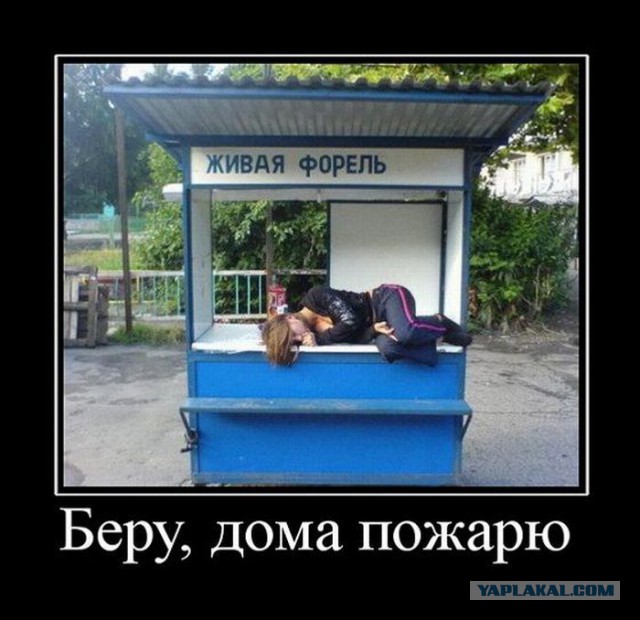 Весёлое из сети