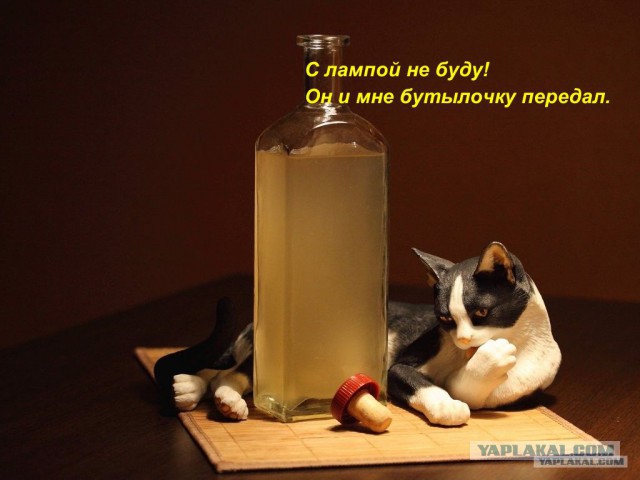 Угрызение совести