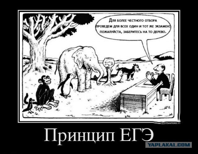 Капец просто!