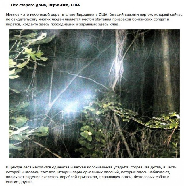 Топ-10 таинственных лесов