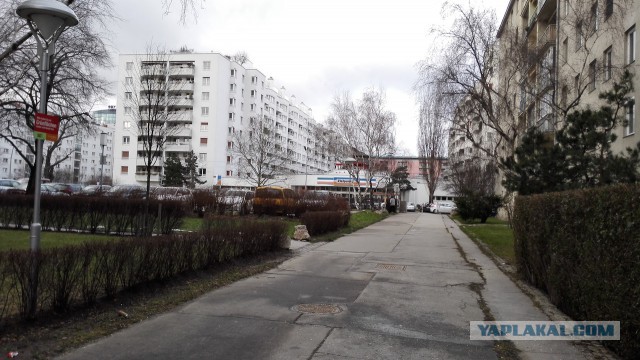 Разочаровался в переезде в Германию