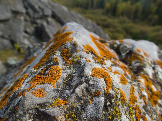 Деревенская Америка