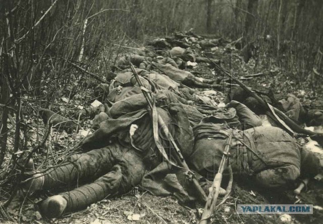Документальные фото ВОВ 1941-1945