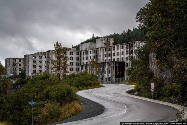 Суровая женщина с оленем в суровом городе Америки