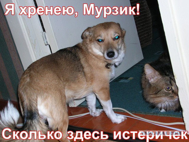 20 Фактов о тридцатилетних мужчинах