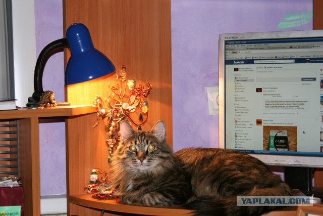 Гаишный аттракцион "А ну ка дыхни!"