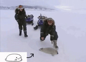 Эй, малый! Ты, да, ты... стой, пойдем со мной!