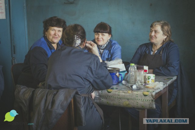 Каслинское литье — чем живет завод?