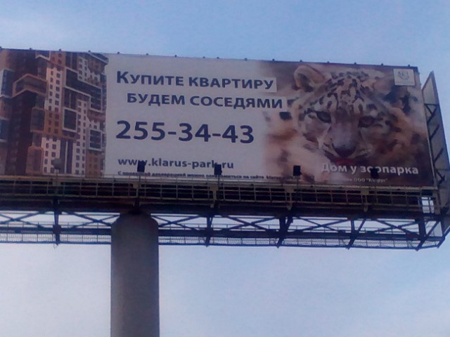 Я понятия не имею, что здесь происходит
