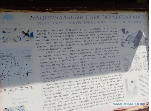 Очарованная Калининградом