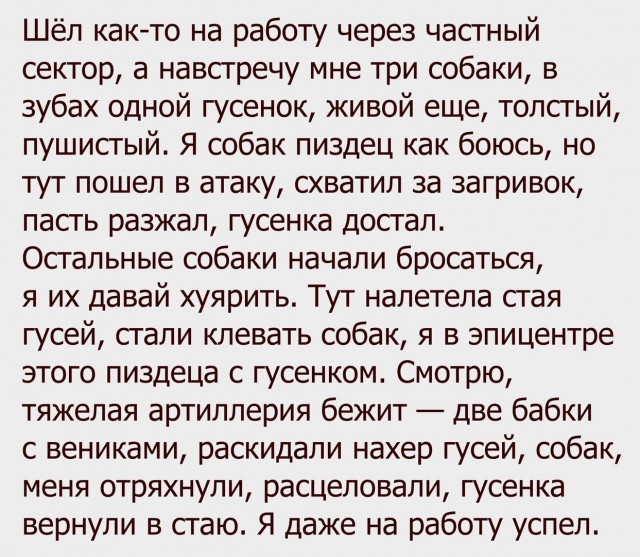 Некоторые наблюдения и высказывания