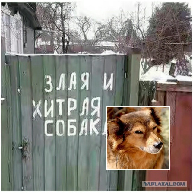 Подборка интересных и веселых картинок