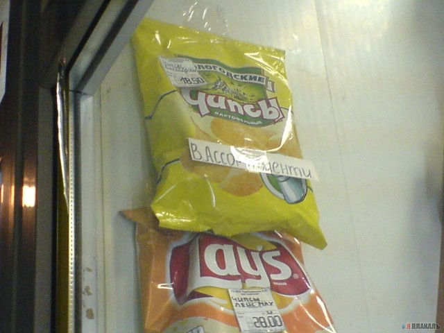 Жисть как она есть