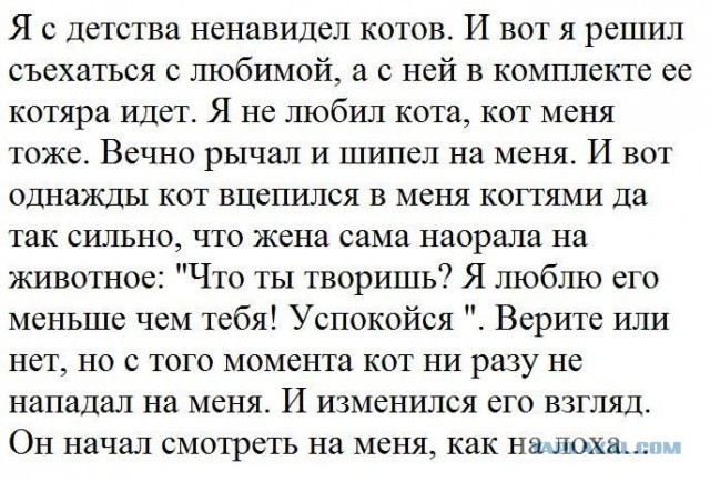 Прикольные картинки 20.06.2017.