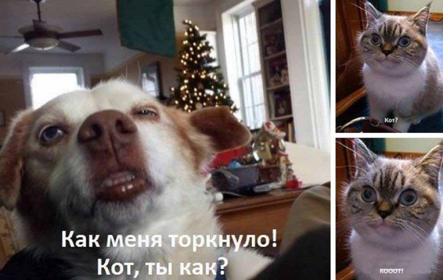 Немного деграданса - 4