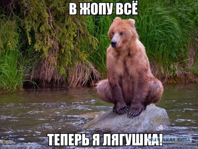 ЯНЕТАКАЯ! А... хотя нет, такая