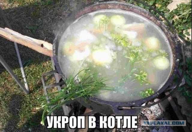 Иловайский котёл: кто виноват в сокрушительном поражении Украины в Донбассе