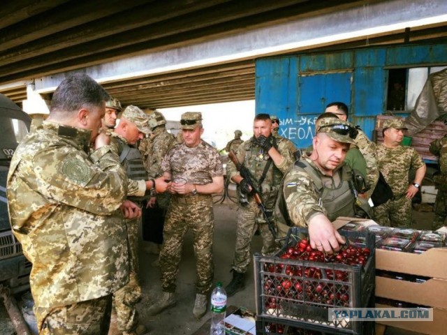 «Закрыты все входы в офис, к окнам нельзя подходить». Что сотрудники «Яндекса» рассказывают о визите Путина