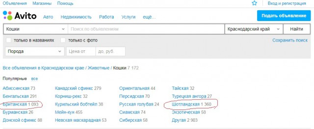 Кошка срет как лошадь...