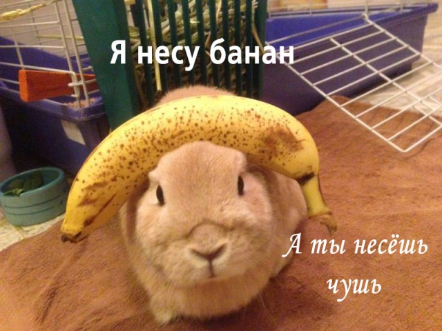 А вот кому деградации и лёгкой наркомании? Налетай!