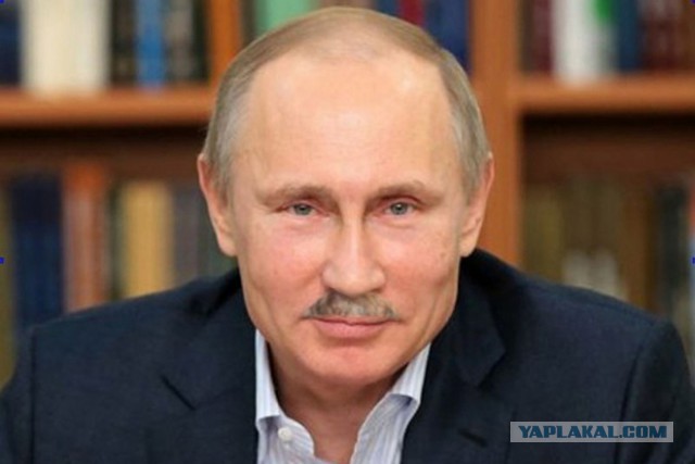 Программа Павла Грудинина