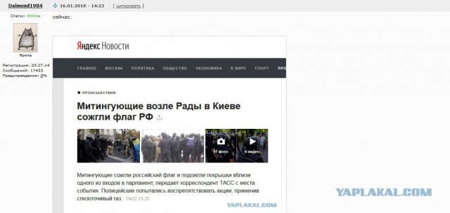 В Киеве под Радой нацисты-радикалы сожгли флаг России