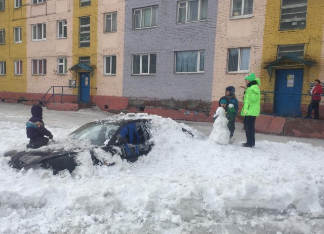 Откопал подснежник в Норильске