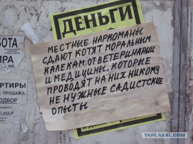 Наркоманских анекдотов с картинками