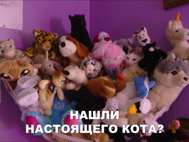 Прикольные картинки абавсём