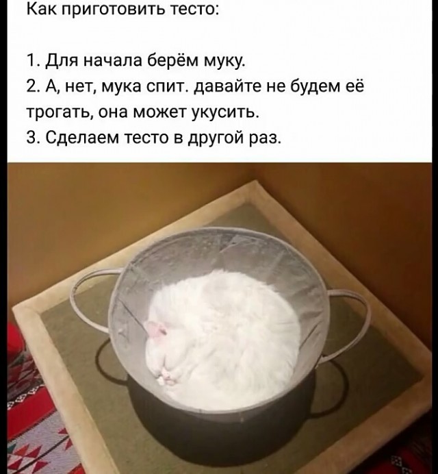 Немного милоты