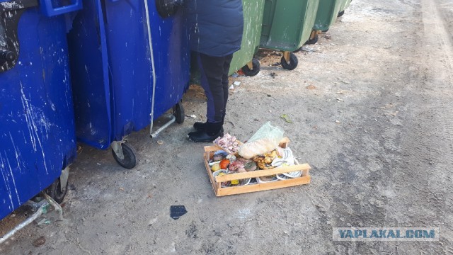 Печальная реальность. Челябинск. Пенсионеры собирают продукты на мусорке.(Для людей с расшатанной психикой 18+).