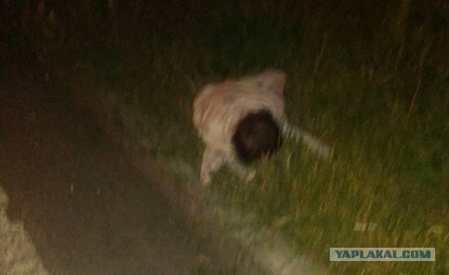 В Казани родители бросили годовалую дочь на проезжей части