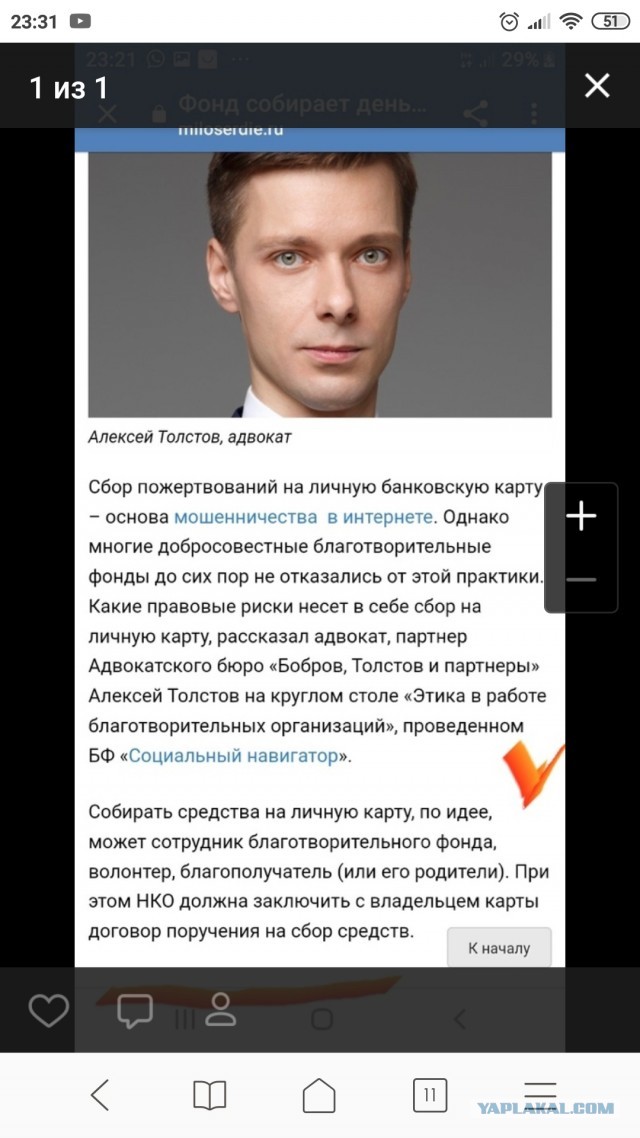 Помогите вернуть кота! Приют "Преданное сердце" украл кота и не отдает!