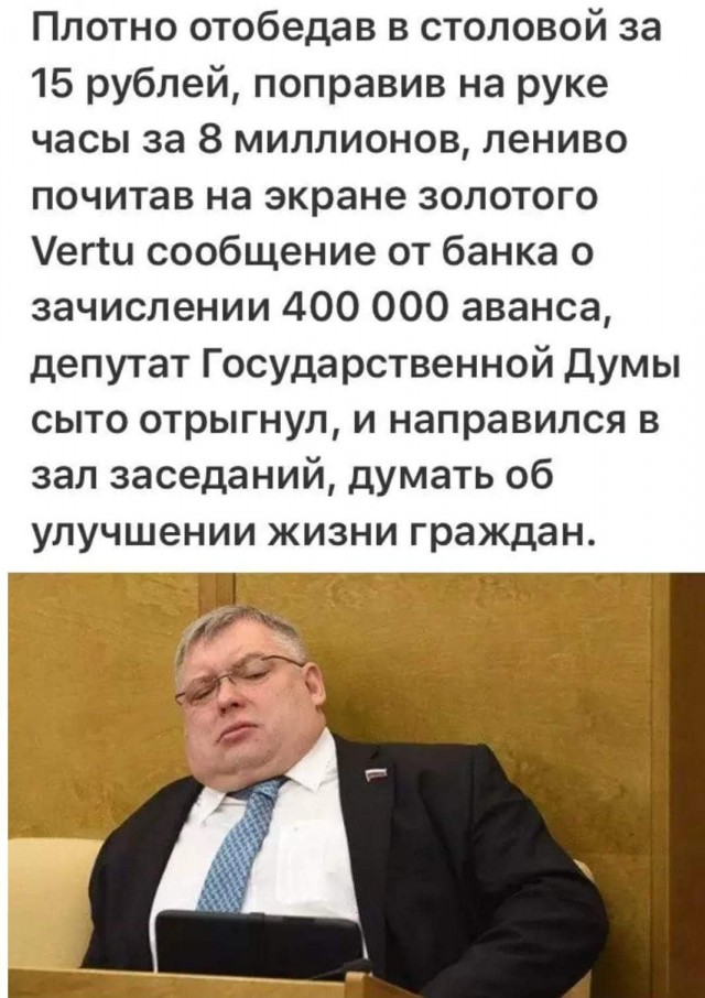 Депутаты Госдумы продлили себе новогодние каникулы до месяца