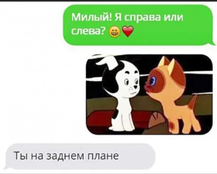 13787459.jpg