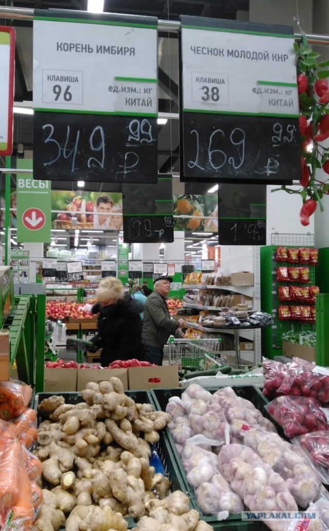Имбирь