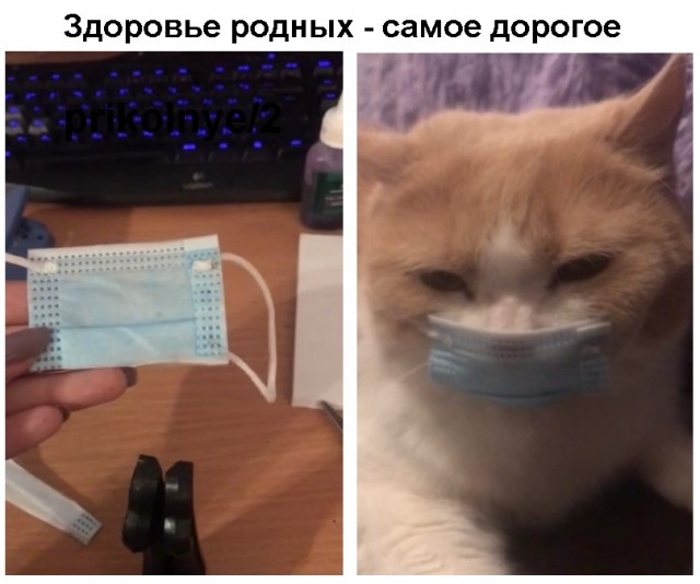 Моя подборка картинок для любимого сайта с любимого сайта