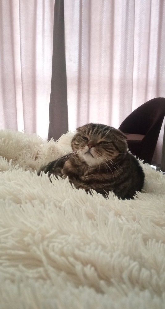 Моя красотка