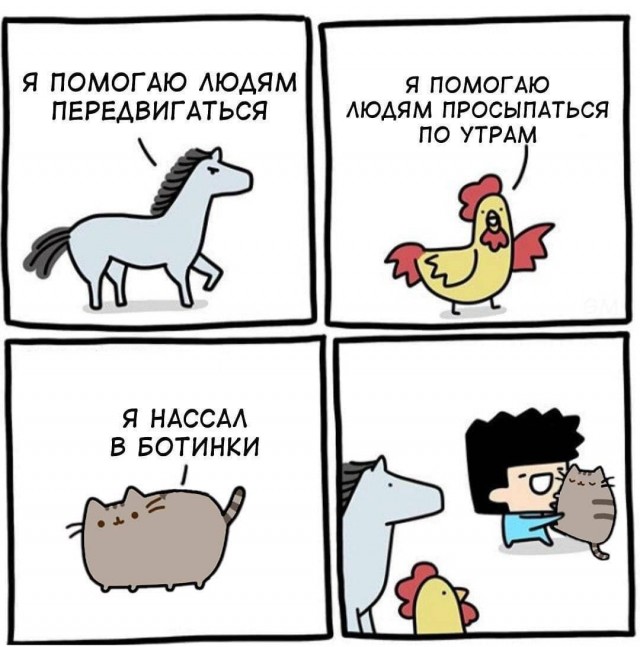 Юмор в картинках  22.12.20