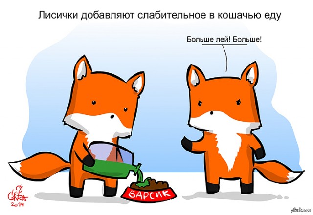 Лисички, картинки